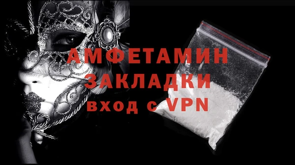 прущие грибы Беломорск