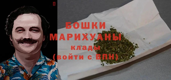 прущие грибы Беломорск
