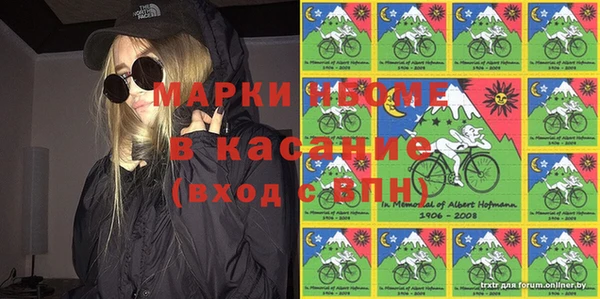 прущие грибы Беломорск