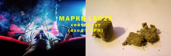 прущие грибы Беломорск