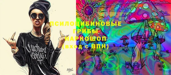 прущие грибы Беломорск