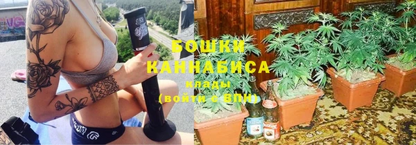 винт Белокуриха